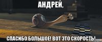 Андрей, спасибо большое! Вот это скорость!