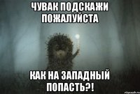 ЧУВАК ПОДСКАЖИ ПОЖАЛУЙСТА КАК НА ЗАПАДНЫЙ ПОПАСТЬ?!