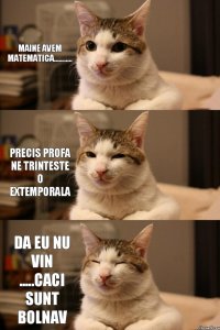 Maine avem matematica........... Precis profa ne trinteste o extemporala Da eu nu vin .....caci sunt bolnav