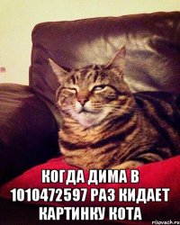  Когда Дима в 1010472597 раз кидает картинку кота