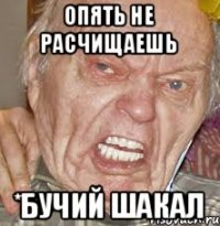 Опять не расчищаешь *бучий шакал