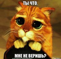 ты что, мне не веришь?