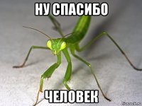 ну спасибо человек