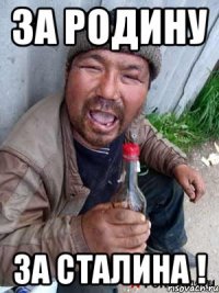 За Родину За Сталина !