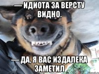— Идиота за версту видно. — Да, я вас издалека заметил