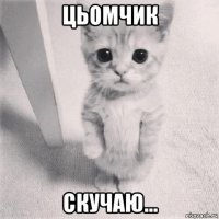 цьомчик скучаю...