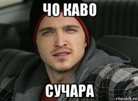 чо каво сучара