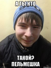 а ты кто такой? пельмешка