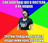 Сказала паці шо в постели я як кошка третий тиждень пітаюся кошачими кансьервами