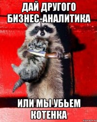 дай другого бизнес-аналитика или мы убьем котенка