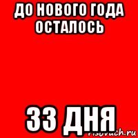 до нового года осталось 33 дня