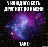 У каждого есть друг КОТ по имени Таке