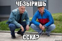 чё зыришь сска?