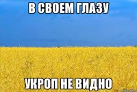 в своем глазу укроп не видно