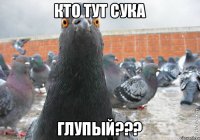 Кто тут сука глупый???
