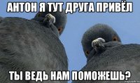 АНТОН Я ТУТ ДРУГА ПРИВЁЛ ТЫ ВЕДЬ НАМ ПОМОЖЕШЬ?