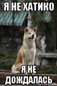я не хатико я не дождалась