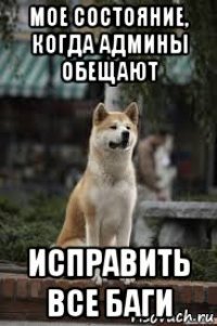 мое состояние, когда админы обещают исправить все баги