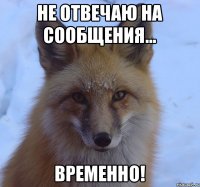 Не отвечаю на сообщения... Временно!