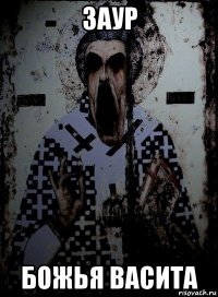 заур божья васита