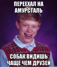 переехал на амурсталь собак видишь чаще чем друзей