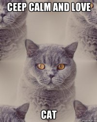 ceep calm and love cat