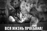  вся жизнь проебана!