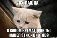 ох, пашка в каком крематории ты нашел этих идиотов?