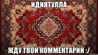 Идиятулла Жду твой комментарий :/