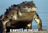  Я ничего не писал