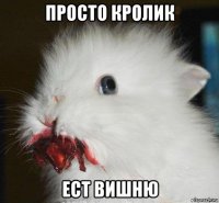 просто кролик ест вишню
