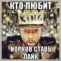 кто любит йорков ставь лайк
