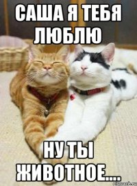 Саша я тебя Люблю Ну ты животное....