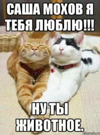 Саша Мохов Я тебя Люблю!!! Ну ты животное.