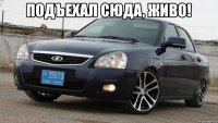 Подъехал сюда, живо! 