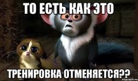 То есть как это Тренировка отменяется??