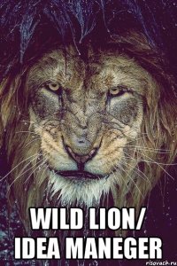  WILD LION/ idea maneger