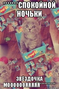 *******Спокойной ночьки Звёздочка моооооояяяяя**********