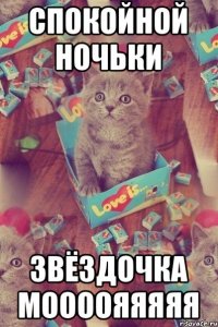 СПОКОЙНОЙ НОЧЬКИ ЗВЁЗДОЧКА МООООЯЯЯЯЯ