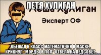 петя хулиган вбежал в класс математички в маске , крикнул "морды в пол" отвела на педсовет.