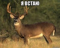 я встаю 