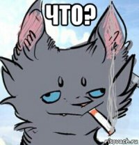 что? 