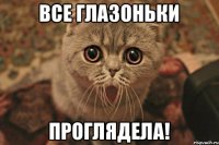 все глазоньки проглядела!