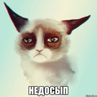  НЕДОСЫП