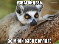 Узбагойдезь Зо мной взе в борядге
