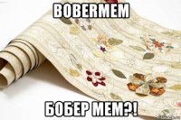bobermem бобер мем?!