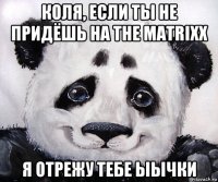 коля, если ты не придёшь на the matrixx я отрежу тебе ыычки