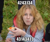 4243134 43143423