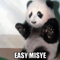  easy misye