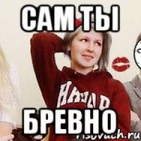 сам ты бревно